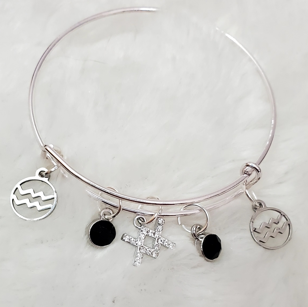 Aquarius Charm Bracelet